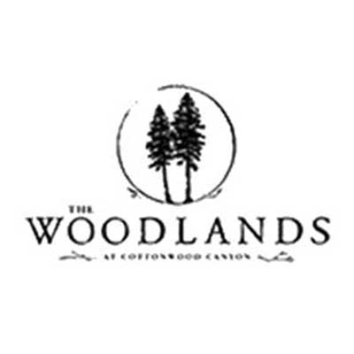 The Woodlands Bozeman Website Design 